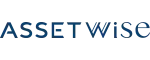 asset wise
